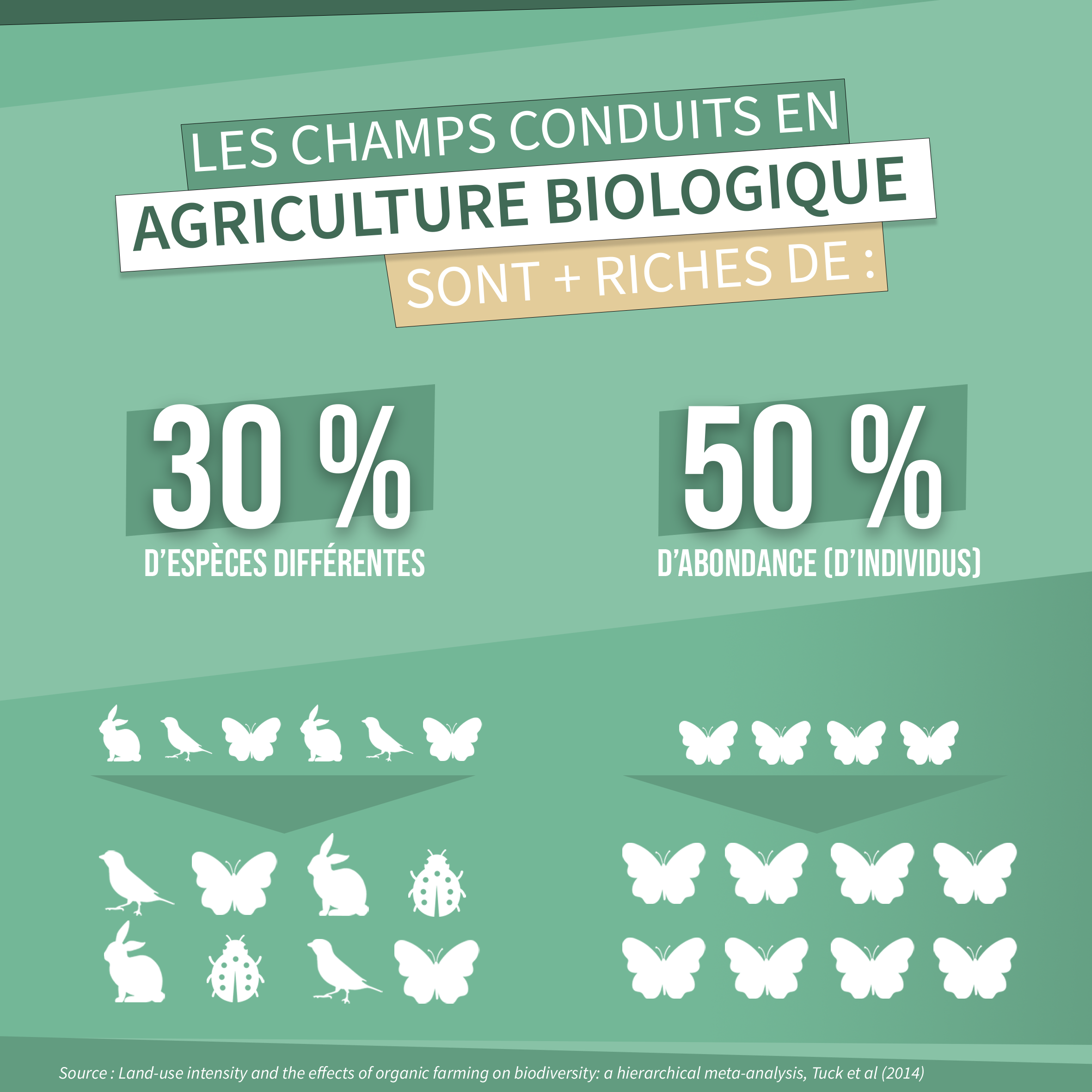 agriculture biologique et biodiversité